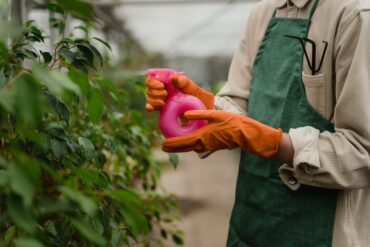 15 Natural and Homemade Fungicides for Plants