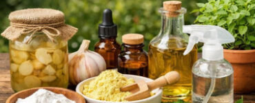 15 Natural and Homemade Fungicides for Plants