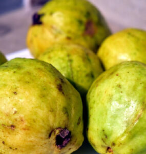 9 Natural Ways to Get Rid of Guava Worms