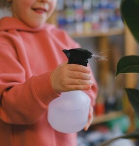 Homemade Insecticidal Soap Spray for Plants