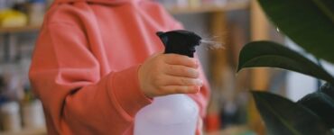 Homemade Insecticidal Soap Spray for Plants