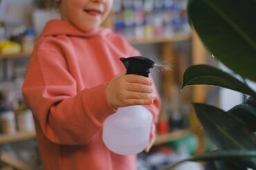 Homemade Insecticidal Soap Spray for Plants