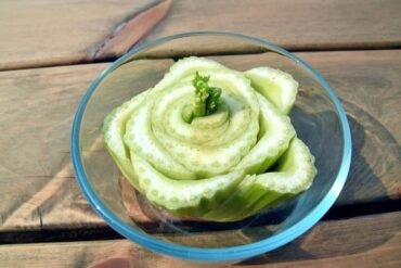 41 Foods You Can Regrow From Scraps