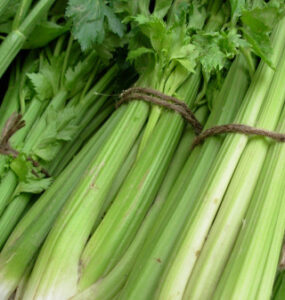 Good and Bad Celery Companion Plants