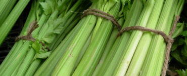 Good and Bad Celery Companion Plants
