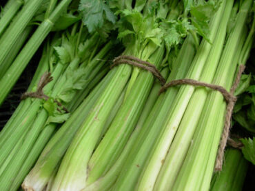 Good and Bad Celery Companion Plants