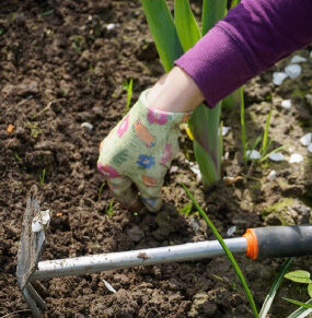 21 Home Remedies to Kill Weeds Naturally