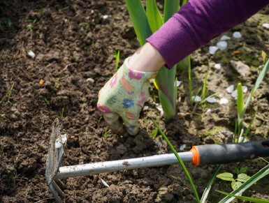 21 Home Remedies to Kill Weeds Naturally