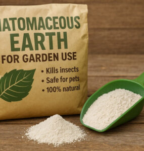 What's the Success Rate of Diatomaceous Earth Against Insects?