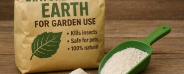 What's the Success Rate of Diatomaceous Earth Against Insects?