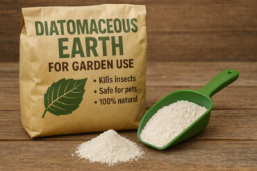 What's the Success Rate of Diatomaceous Earth Against Insects?