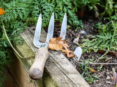 Hand Fork - Small Hand Tools for Gardening (with Pictures)