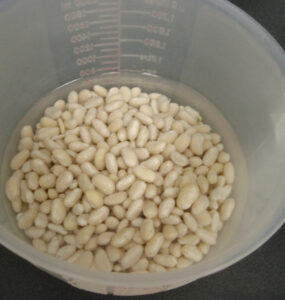 Soaking Seeds Before Planting: A Beginner's Guide