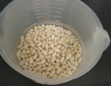 Soaking Seeds Before Planting: A Beginner's Guide