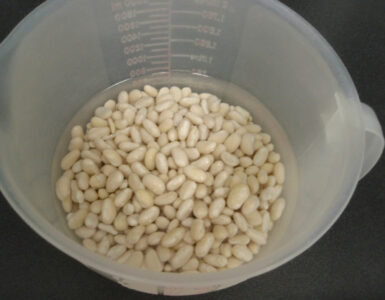 Soaking Seeds Before Planting: A Beginner's Guide