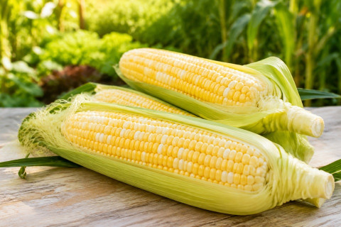 Peaches and Cream Corn