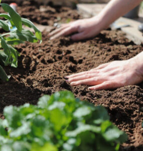 How to Treat Garden Soil Before the Next Growing Season