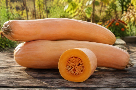 Banana Squash