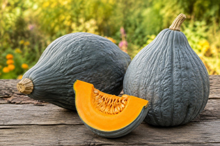 Hubbard Squash