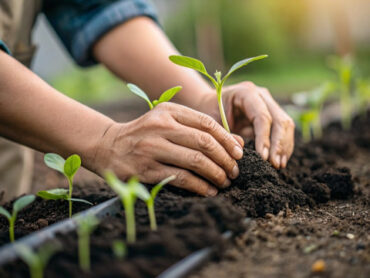 How to Start Vegetables: A Beginner's Guide