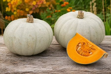 Sweet Meat Squash
