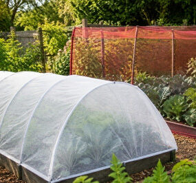 Using Nets and Row Covers in the Vegetable Garden